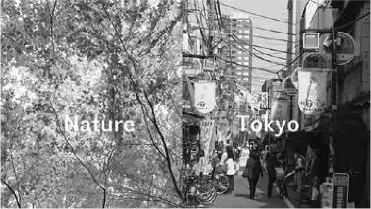 自然と、ヒューマンスケールの東京の街